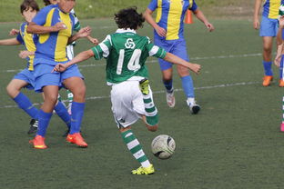 九游jiuyou-国际足球协会推动足球全民普及，青少年参与度飙升，各国青少年足球注册人口